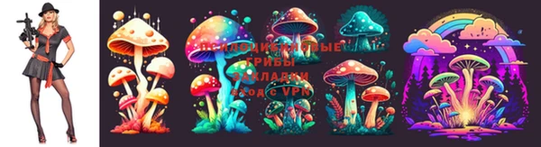 крисы Заводоуковск