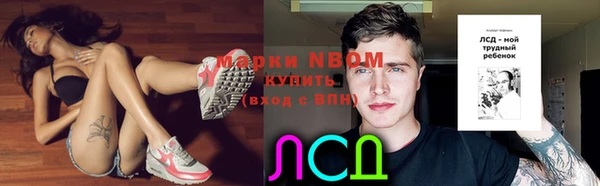 крисы Заводоуковск