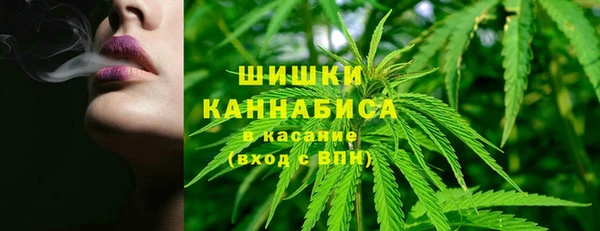крисы Заводоуковск