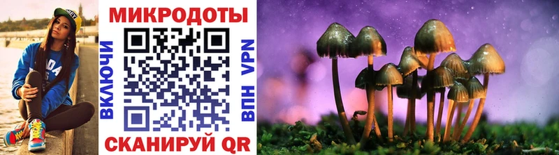 hydra как войти  Ясный  Псилоцибиновые грибы прущие грибы  магазин   